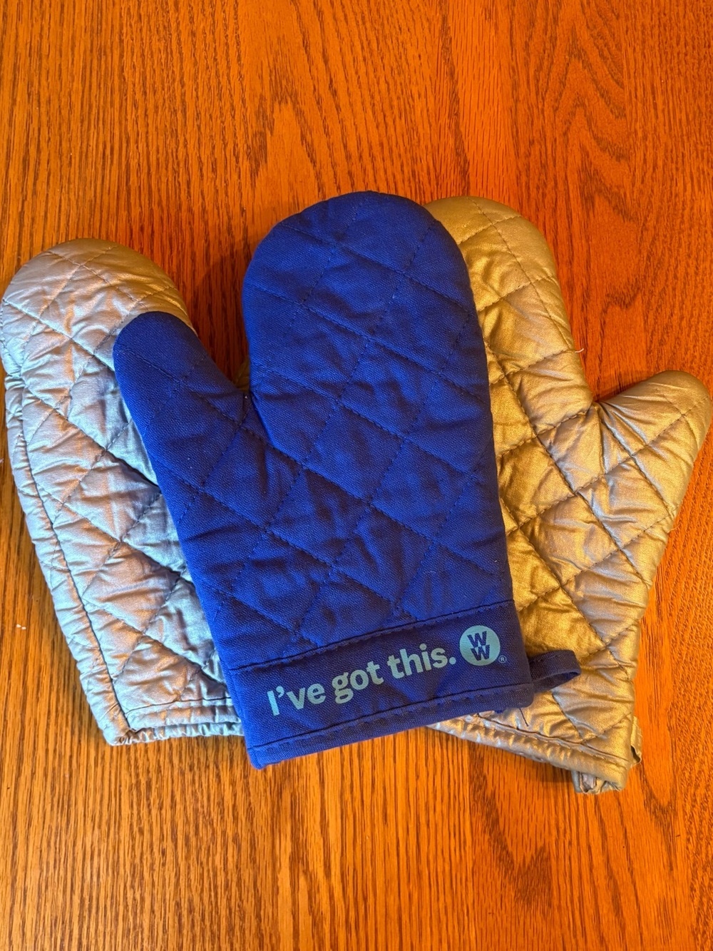 Weight Watchers Blue Quilted Oven Mitt Plus Two Generic Silver Oven Mitts
